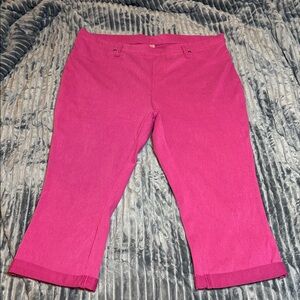 Terra & Sky Fuchsia Pants